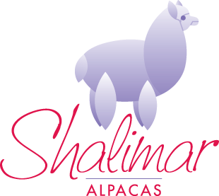Shalimar Alpacas