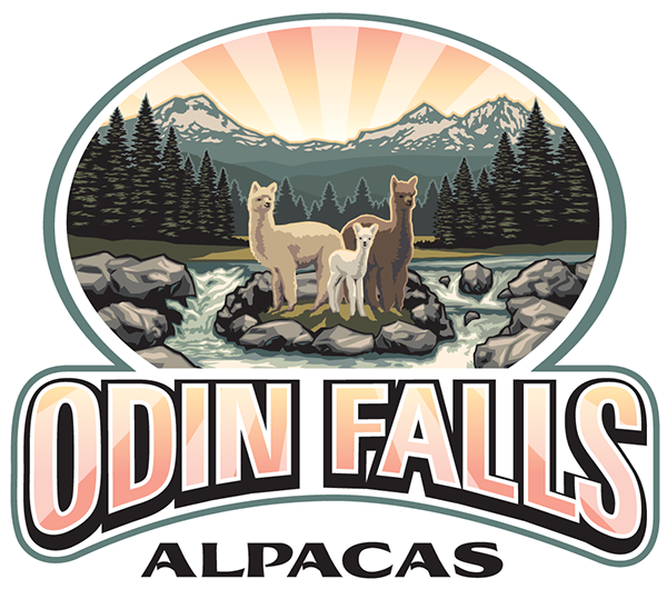 Odin Falls Alpacas