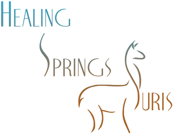 Healing Springs Suris