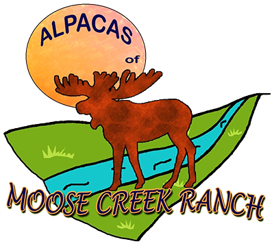 Alpacas of Moose Creek Ranch